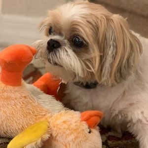 Meet your Posher, Arlene